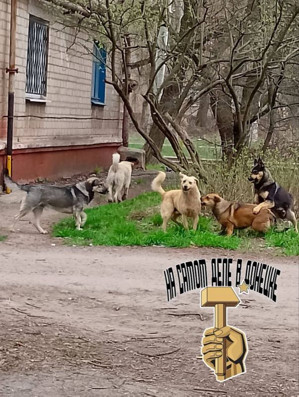 #��������. �. ��������, ����� �������������, ���������