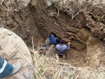 ����������� �� �������� � �������� ������������ ���������� ������ ������ ������������� ������