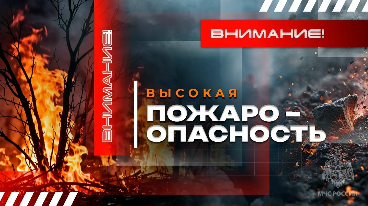 Роман Конев: 8 апреля в центральных и юго-западных районах Донецкой Народной Республики прогнозируется высокая пожарная опасность (4-й класс)