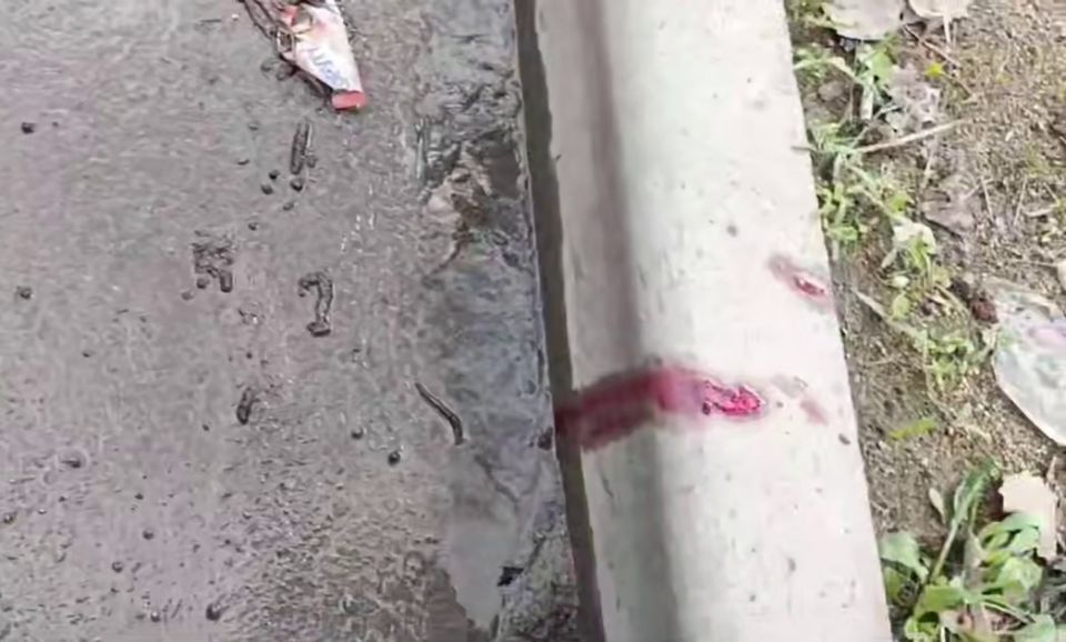 ��������� ������ ������� ��������� ��������