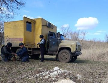 ��������������� ���� �� ����� �������: ����������� ���������� ��������������� ������� � ��������