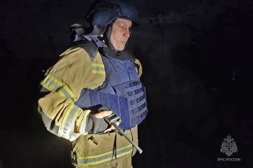 ������ ��� ��������. ��������� ������� � ����������� ���������� 37 �������-������������ ����� �. ��������