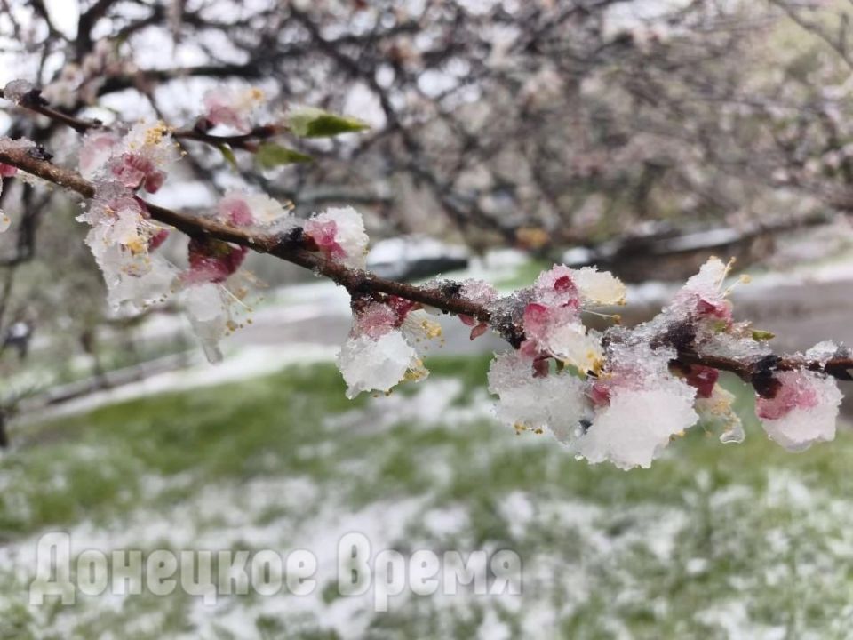 ���������� ������� �� ������: ���� � ������� ���� �����, � �������� ����� ����