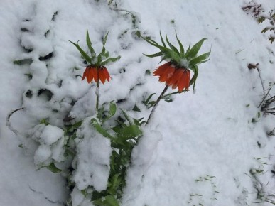 ���, ����� ������, � ������� ����� ��������! � �������� ������� ������ ������ � � ������ ���� ����� ����