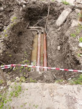 ������� �� ����� ����������� 48 ������ ���������� ������� ��������� � ��������