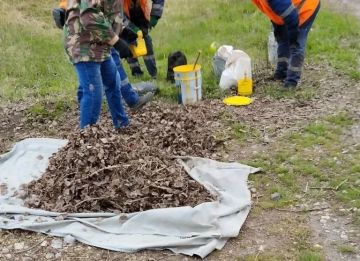 � ����������� ������ �������� ������ ������������� ���������