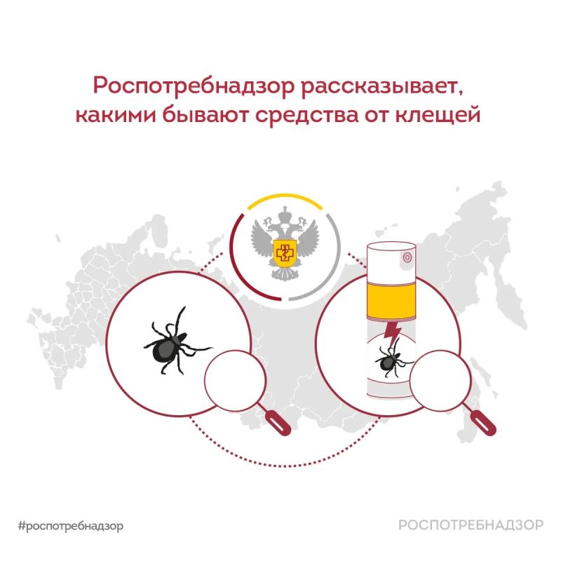 Какими бывают средства защиты от клещей?