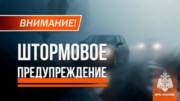 ����� �����: ��� ���: ��������� ��������������