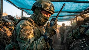 ������� "������������" ������ � �����: ��� ����� �� �������� �� ���������