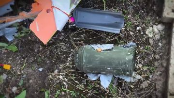 Ударный беспилотник "Блискавка", которым украинские террористы пытались атаковать электроподстанцию в Горловке