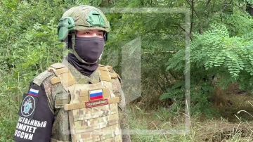 За прошедшую неделю следователями СК России зафиксированы преступления вооруженных формировании Украины, совершенные в отношении мирного населения ДНР