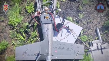 138 ���� �� ������ �������: ������ �������� �� ��������� ���� �� ����������, ����� � ���������