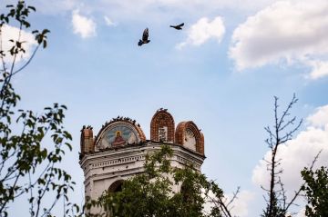 Отсутствие воды в Шахтерске, помощь монастырю в Никольском, именной лес: о главном на 23 сентября 2026 года