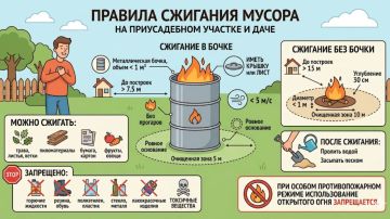 можно ли сжигать мусор и сухие листья на своём участке
