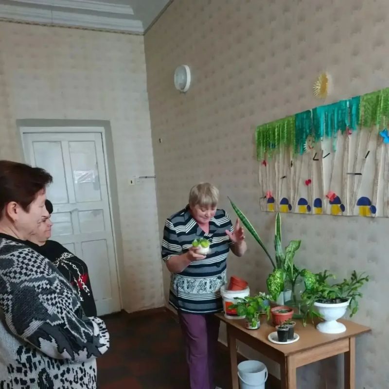 «Сад добра» на подоконнике